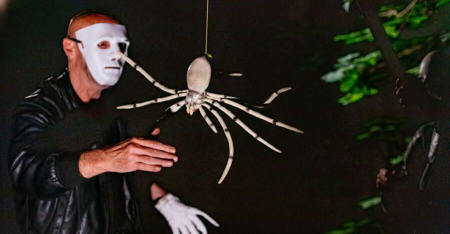 Franfurt Horror Tour: Terror of the White Spider - The structure of the walk: streets first, then a dark-forest turn