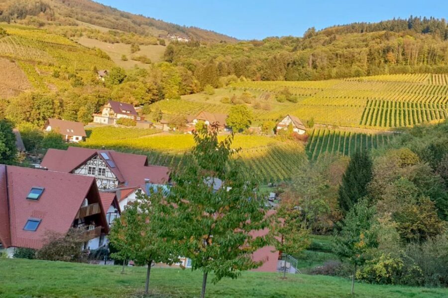 Frankfurt: Baden-Baden, Black Forest, Strasbourg Guided Tour - The Vehicle, the Group, and Why That Matters for Comfort