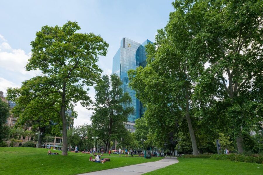 Frankfurt: Guided walk between palm trees and skyline - Skyline viewpoints built into the route, not added on