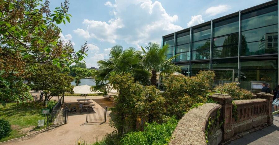 Frankfurt: Guided walk between palm trees and skyline - Römerberg as your starting point: Frankfurt’s civic center