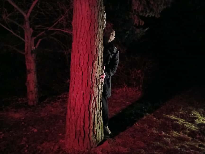 Frankfurt: Horror theater with city tour "Nosferatu's Resurrection" - Key points to know before you go