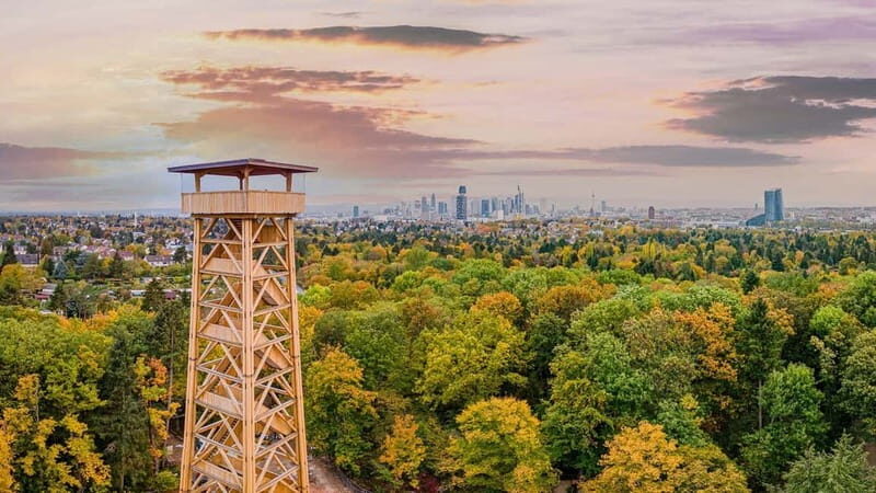 Frankfurt: RheinMainCard - Unlimited RMV Transportation - Discounts at 60+ attractions: how to plan your sightseeing day