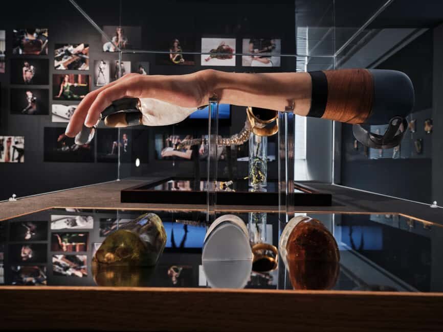 Frankfurter Kunstverein: Admission ticket - And This Is Us 2025: what this exhibition is actually doing