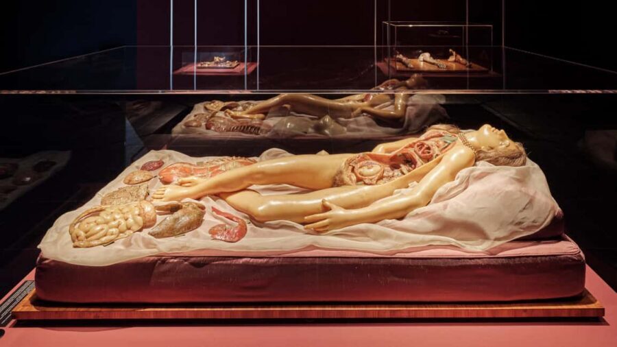 Frankfurter Kunstverein: Admission ticket - The art-and-science angle: why it matters for how you experience the works