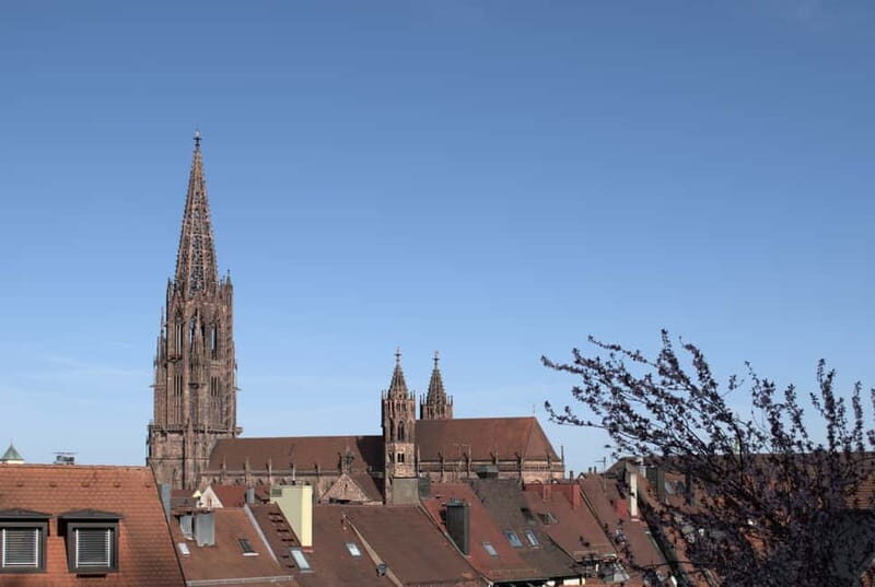 Freiburg City Tour: with visit of the Freiburg Minster - Inside Freiburger Münster: stained glass, tower details, and the audio system