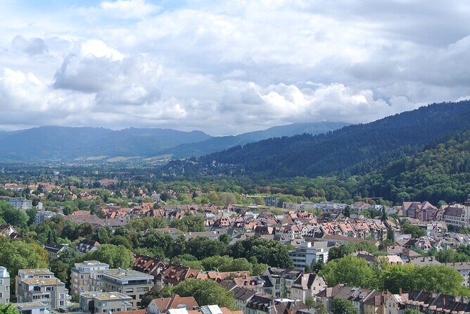 Freiburg - Historic walking tour - The old university opened in 1457—and parts still matter