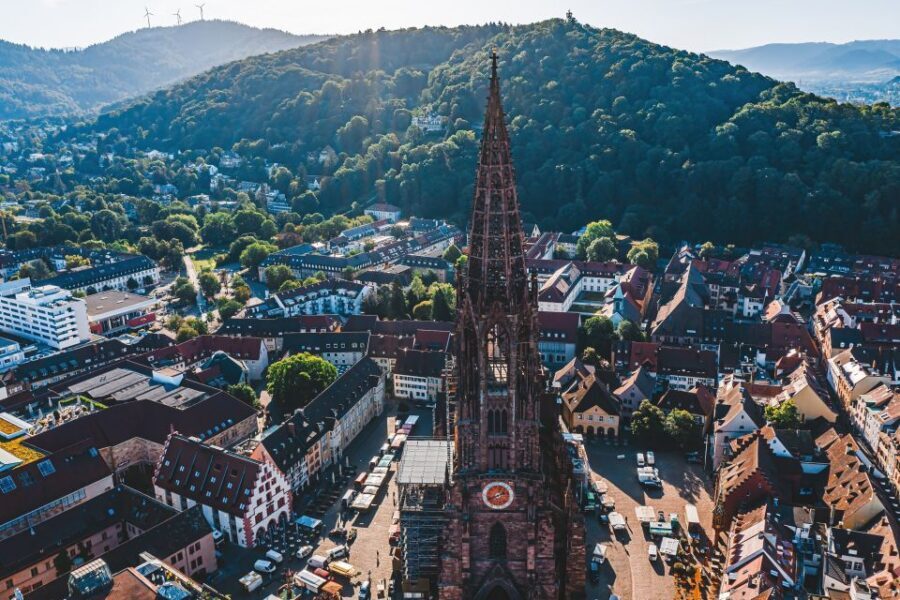 Freiburg: Veni, vidi, vino - wine hike and tasting - Walking the Schlossberg: views, weather, and the rhythm of a guided wine hike