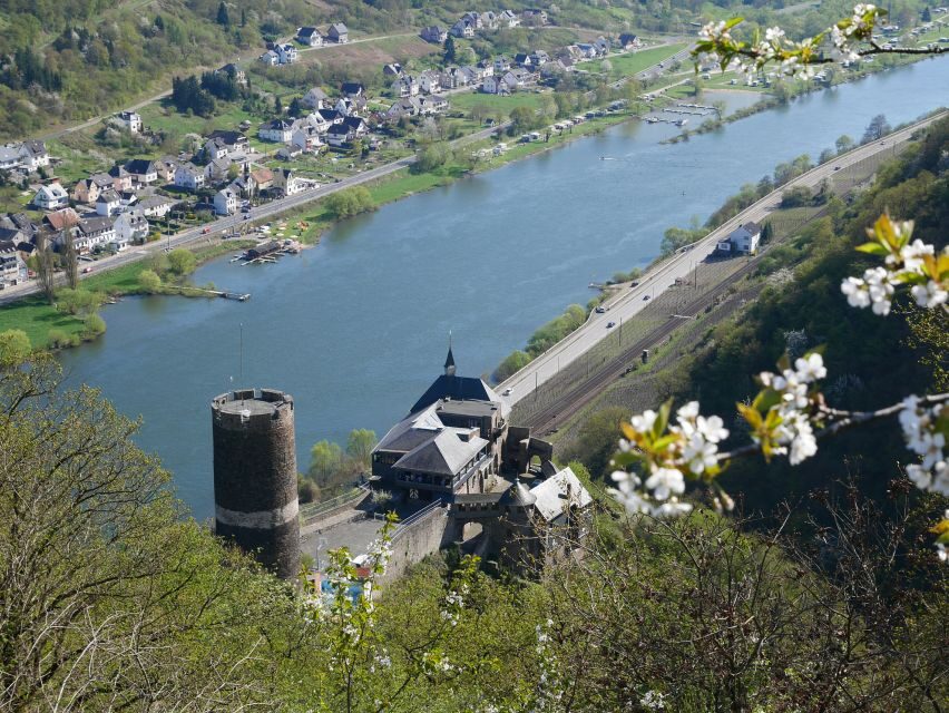 From Alken: Moselle Valley Sightseeing Cruise - Price and value: why $17 can actually feel fair