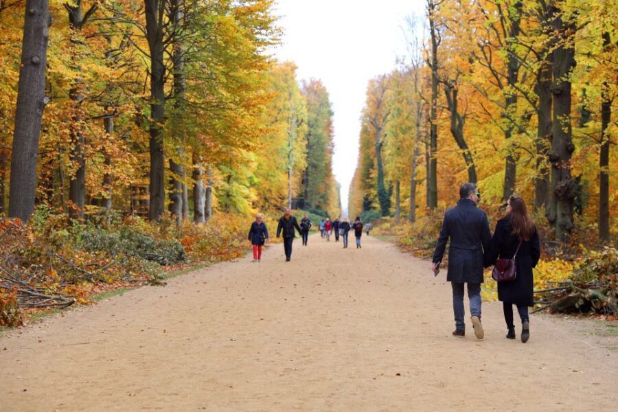 From Berlin: Historical Gems of Potsdam Private Day Trip - Private guide quality: why it can feel excellent or merely adequate