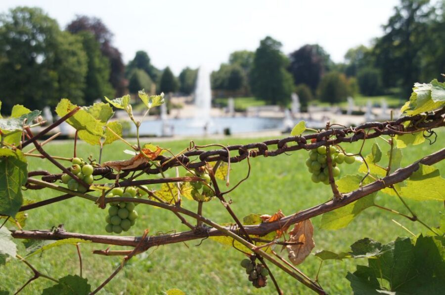 From Berlin: Potsdam Half-Day Tour in Spanish - Frederick the Great’s Potsdam: Palaces, Arts, and the Logic of the Route