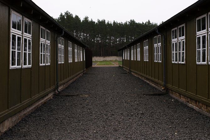 From Berlin to Sachsenhausen Camp: Private Tour by Car or Train - Stiftung Neue Synagoge Berlin & Centrum Judaicum: seeing how history lives in the streets
