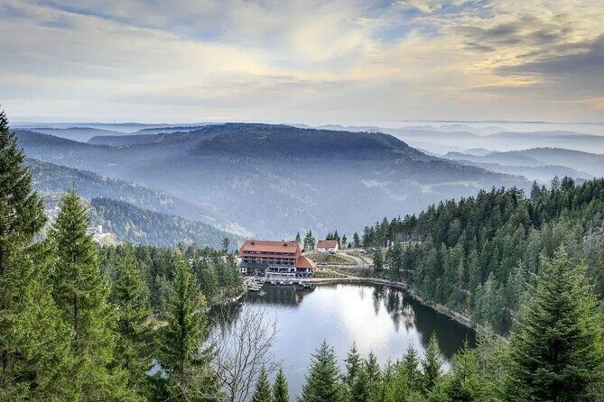 from Frankfurt - romantic Black Forest & brewery, private tour - How This Private Black Forest Day Works from Frankfurt