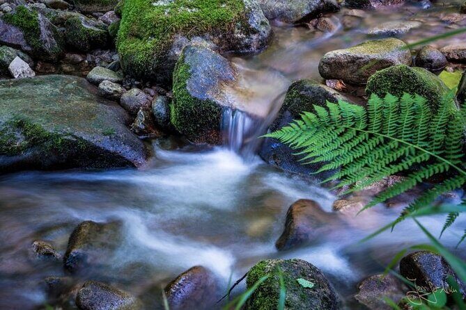 from Frankfurt - romantic Black Forest & brewery, private tour - Lotharpfad + Allerheiligen Wasserfälle: Easy Walking, Great Payoff