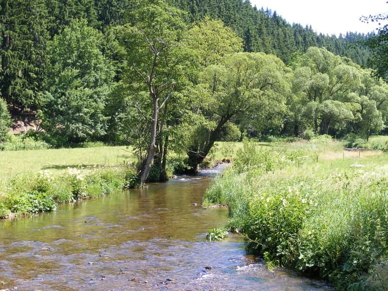 From Leipzig: Day-Trip to the Ore Mountains - UNESCO Ore Mountains: why this region earned the badge