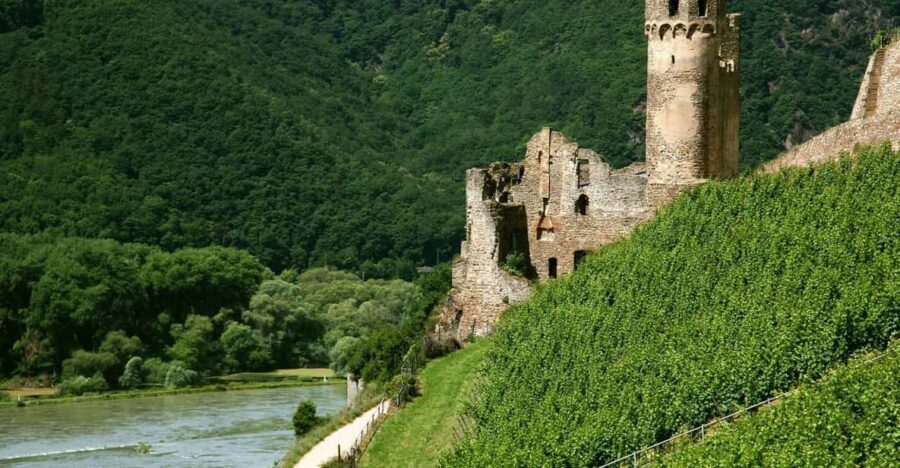 From Rüdesheim: 1.5-Hour Boat Cruise with Wine Tasting - Castles Everywhere: What You’ll Notice Along the Middle Rhine