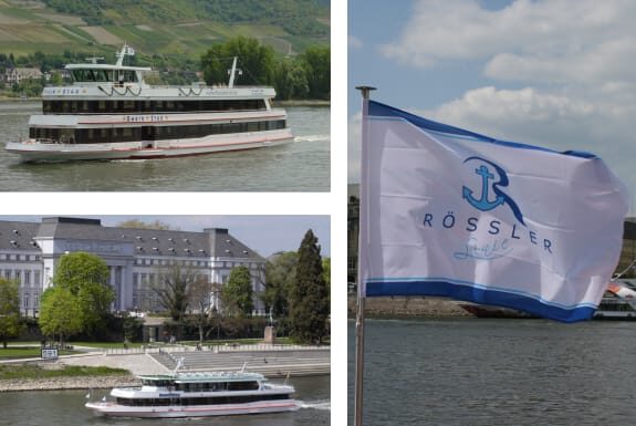From Rüdesheim: 1.5-Hour Boat Cruise with Wine Tasting - Niederwald Monument, Germania, and the Osteinpark Stops