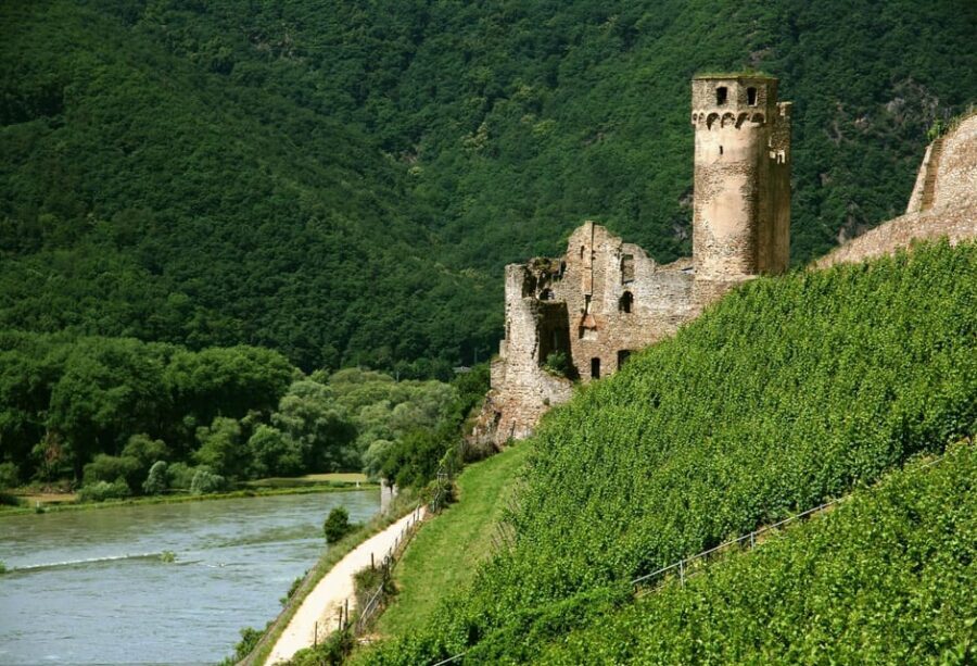 From Rüdesheim: 1.5-Hour Boat Cruise with Wine Tasting - Should You Book the Rüdesheim Rhine Wine Cruise?