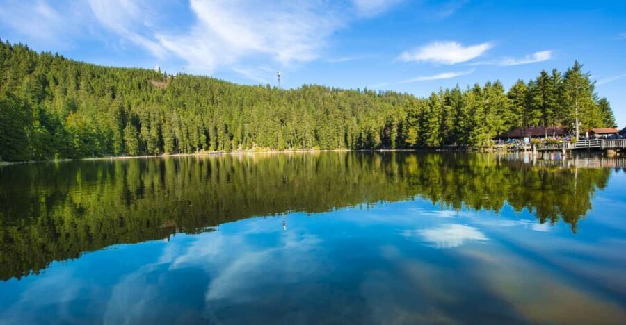 From Strasbourg: Black Forest and Baden Baden Day Trip - Key things to notice before you go