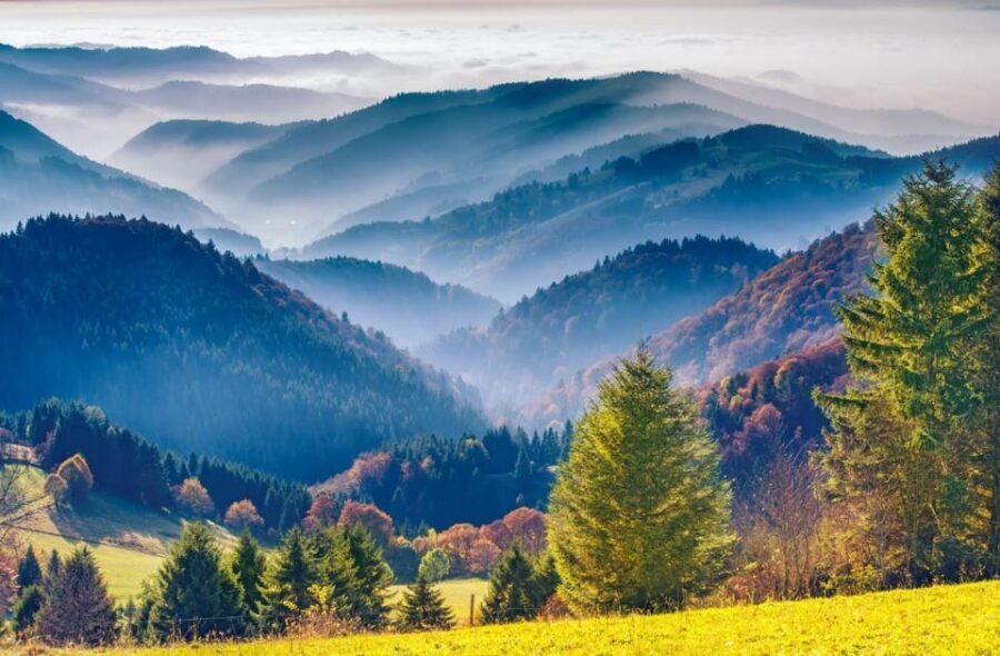 From Strasbourg: Black Forest and Baden Baden Day Trip - Who should book this tour, and who should skip it