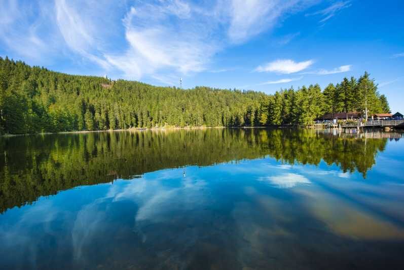 From Strasbourg: Black Forest and Baden Baden Day Trip - Why this Black Forest day trip makes sense from Strasbourg