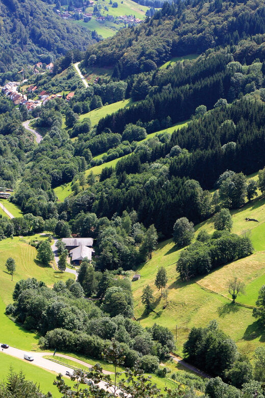 From Strasbourg: Black Forest and Baden Baden Day Trip - Baden-Baden at Lichtentaler Allee: villas, elegance, and spa-town identity
