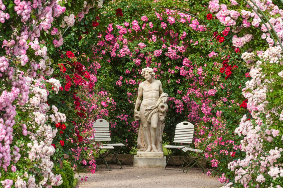 From Strasbourg: Black Forest and Baden Baden Day Trip - Badischerweinstrasse wine route and Sasbachwalden: pretty villages without the driving