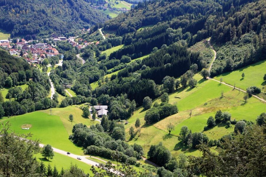 From Strasbourg: Black Forest and Baden Baden Day Trip - Timing, transport, and why the small group matters