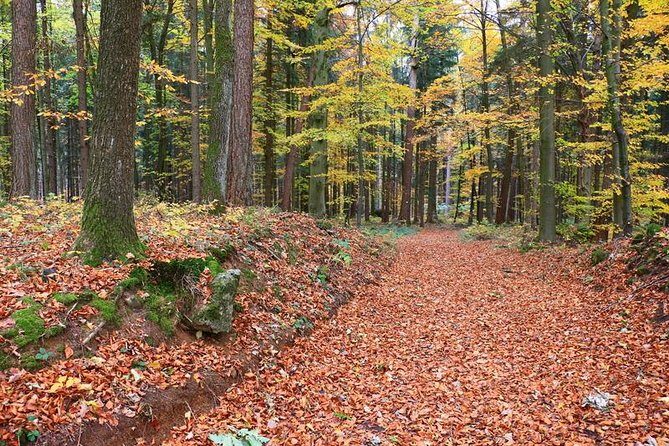 Fünf Seidla Steig ® Beer Hike Food Experience Private Tour (departs Nuremberg) - The Fünf Seidla Steig: Beer Culture on Foot
