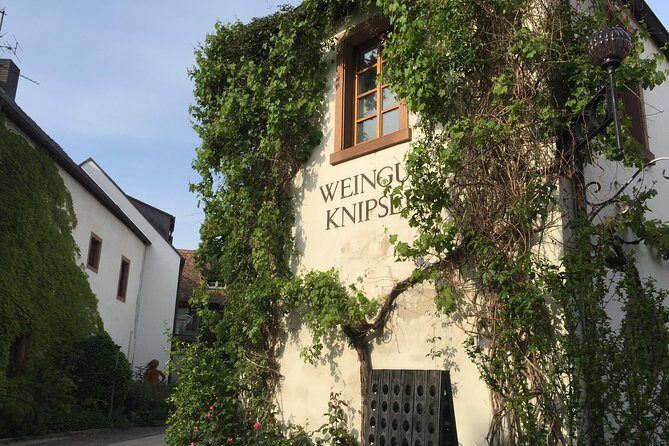 Get Pfalzed - wine tour to unique wine region to taste Red wines - Key things to know before you go