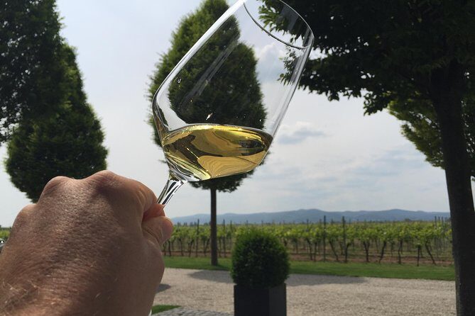 Get Pfalzed - wine tour to unique wine region to taste Red wines - Lunch wine-tapas: your energy plan for the afternoon