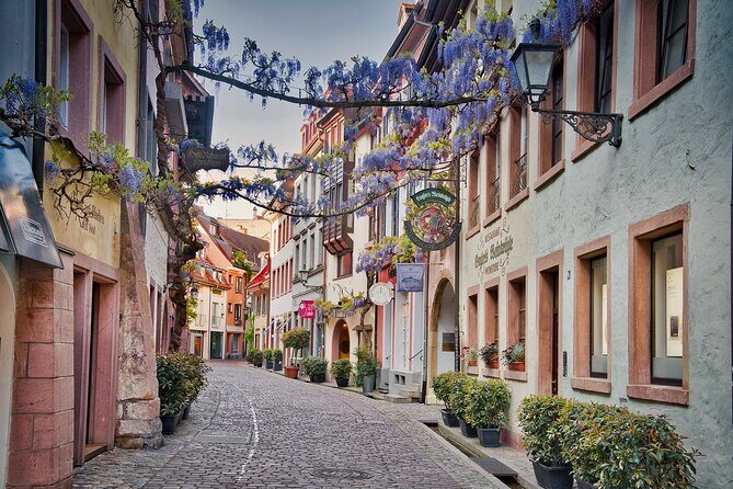 Group tour in Italian in Freiburg im Breisgau - Bächle Canals: The Little Waterway Feature That Makes Freiburg Different