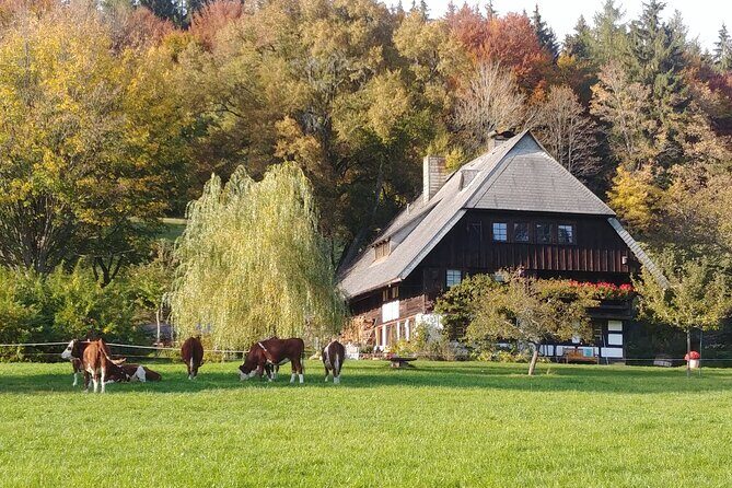 Guided tasting of Cider - Where You Meet: Mooslochweg in Unterkirnach