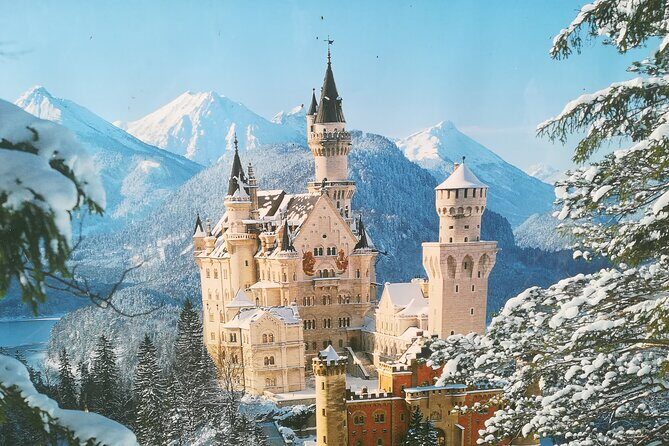 Half day tour private from Munich to Neuschwanstein Castle - Price and logistics: what the $1,100.75 per group really buys