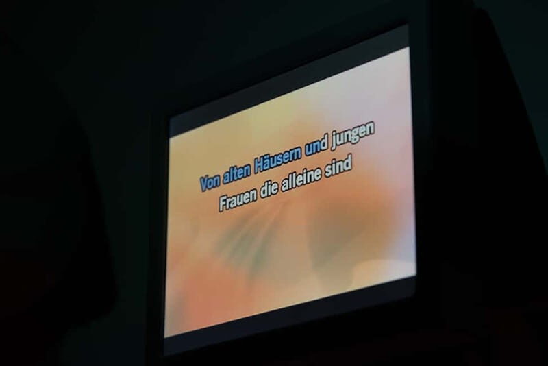 Hamburg: 1.5-Hour International Karaoke Bus Tour - Karaoke on Wheels: what the tour actually feels like