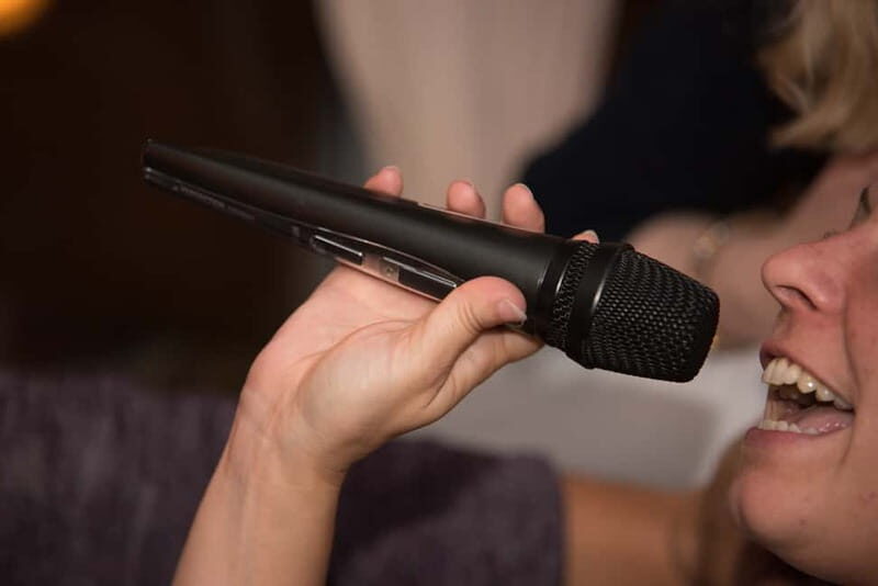 Hamburg: 1.5-Hour International Karaoke Bus Tour - The song mix: what you’ll likely sing and why it matters