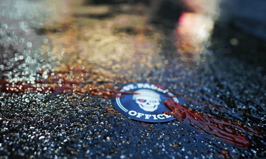 Hamburg: Crimes of St. Pauli Guided Walking Tour - Key things that make this tour worth your time