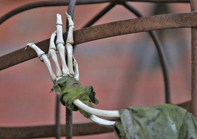 Hamburg Half Day Walking Tour with a Local: 100% Personalized & Private - Food Truck Market and Franzbrötchen: A Real Snack Stop