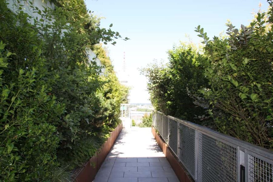Hamburg: St. Pauli's "Green Bunker" Tour – above the rooftops of Hamburg - Should you book the Green Bunker tour?