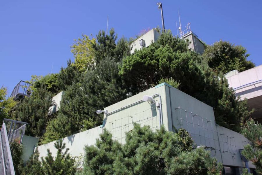 Hamburg: St. Pauli's "Green Bunker" Tour – above the rooftops of Hamburg - Who should book this Green Bunker tour?