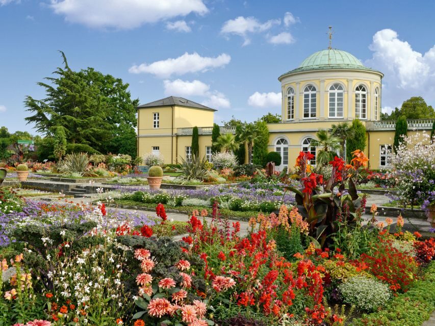 Hannover: Guided tour of the Berggarten - Key highlights in a 1.5-hour greenhouse tour