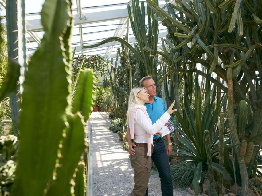 Hannover: Guided tour of the Berggarten - Tropical rarities: seeing the world without the flight