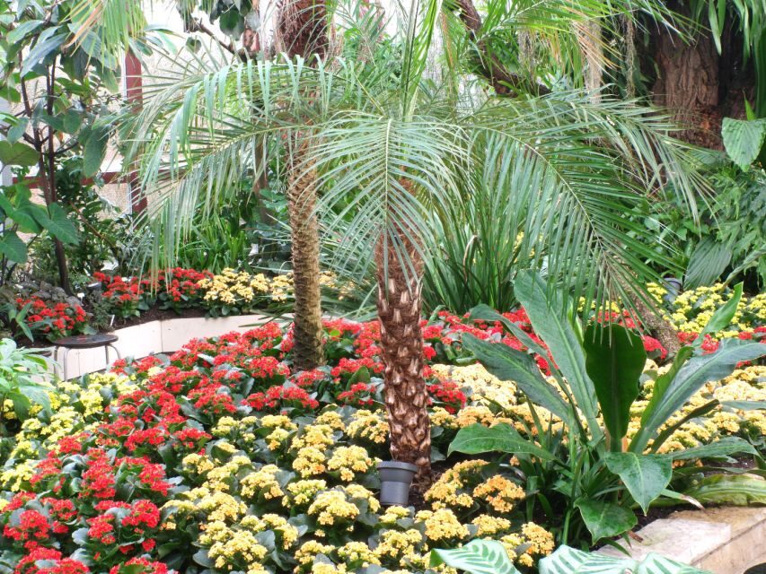 Hannover: Guided tour of the Berggarten - Why 12,000+ species still feels manageable