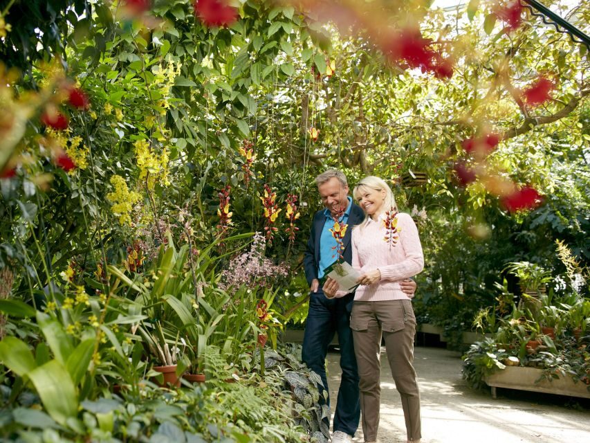 Hannover: Guided tour of the Berggarten - Who should book this Berggarten tour