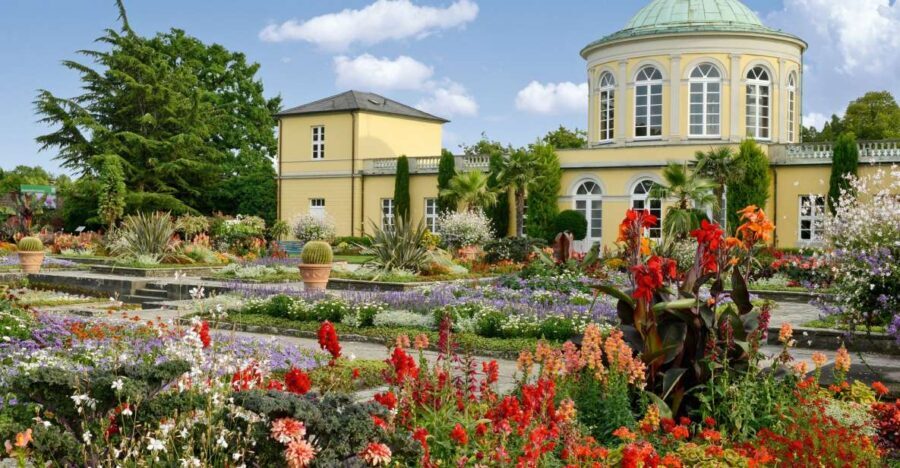 Hannover: Guided tour of the Berggarten - Inside the greenhouses: what your 1.5-hour route feels like