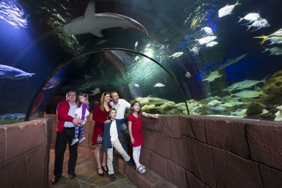 Hanover: SEA LIFE Entry Ticket - How Long It Takes (and When It Feels Like Too Much)