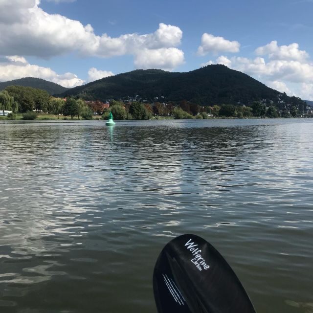 Heidelberg: 2-Hour Kayak Tour - Key highlights you’ll actually feel