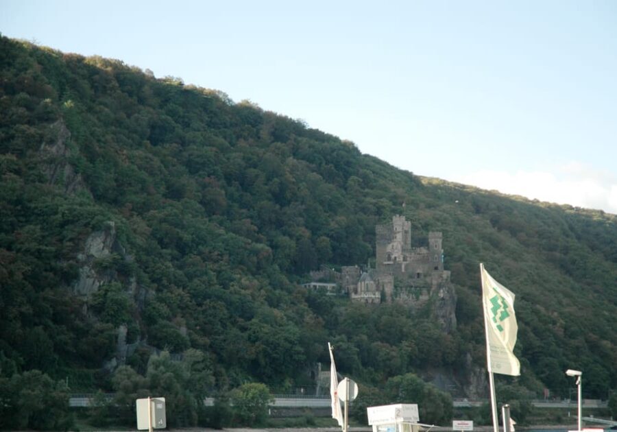 Heidelberg and Rhine Combination Tour from Frankfurt - Upper Middle Rhine Valley: UNESCO World Heritage sights you’ll actually recognize