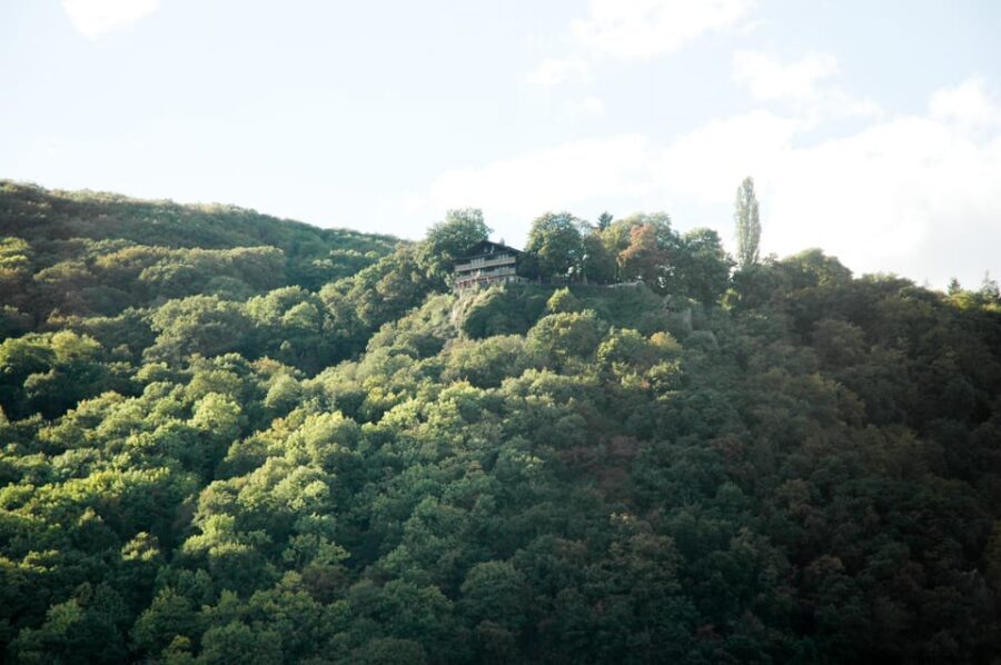 Heidelberg and Rhine Combination Tour from Frankfurt - The Rhine steamer from Kaub: what the cruise adds to the day