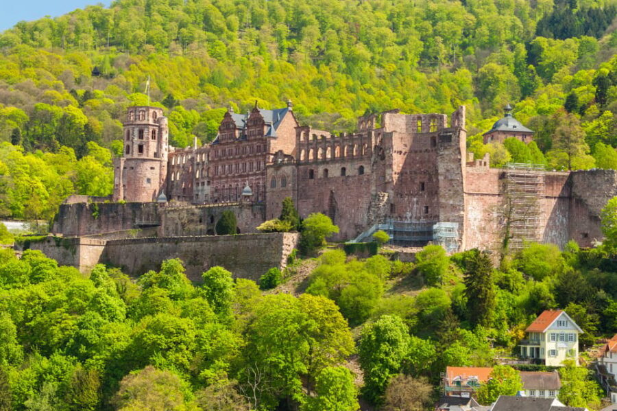 Heidelberg and Rhine Combination Tour from Frankfurt - Price and value: is $304 fair for a full day of castle, cruise, and meals?