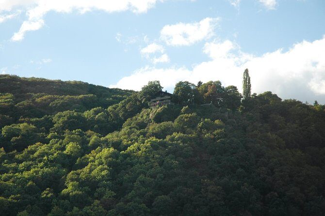 Heidelberg and Rhine Valley Day Trip With Wine Tasting and Dinner from Frankfurt - Should you book this Heidelberg and Rhine Valley day trip?